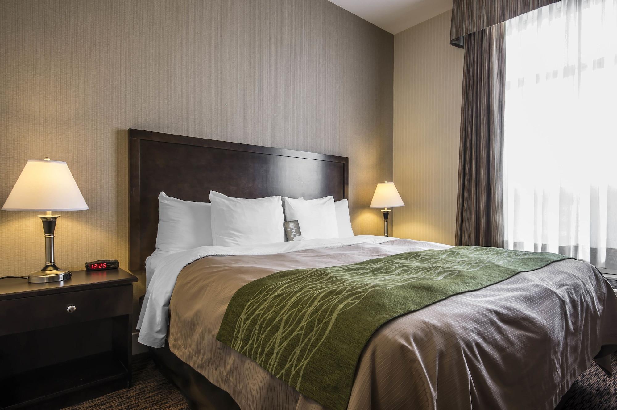 סארי Comfort Inn & Suites מראה חיצוני תמונה