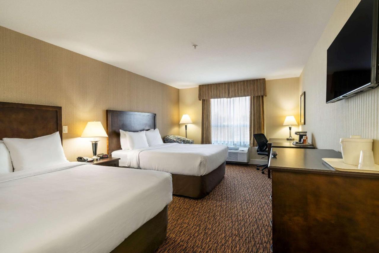 סארי Comfort Inn & Suites מראה חיצוני תמונה