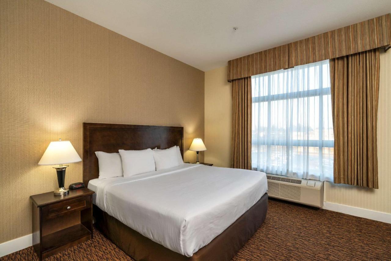סארי Comfort Inn & Suites מראה חיצוני תמונה