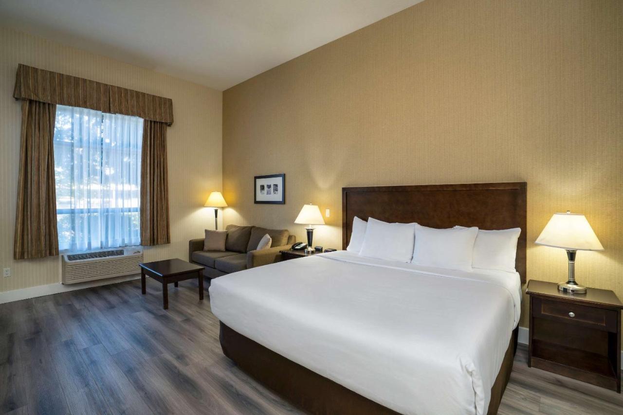 סארי Comfort Inn & Suites מראה חיצוני תמונה