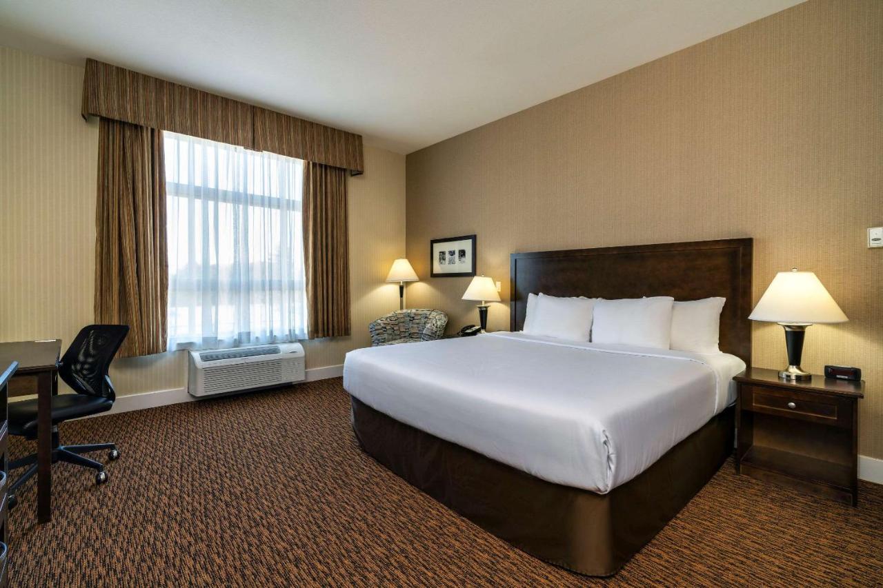סארי Comfort Inn & Suites מראה חיצוני תמונה